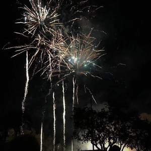 西村二一𠂇超肉弹
